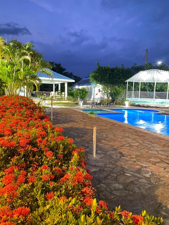 Lutix Hotels El Limon Kültér fotó